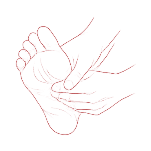 REFLEXOLOGIE PLANTAIRE